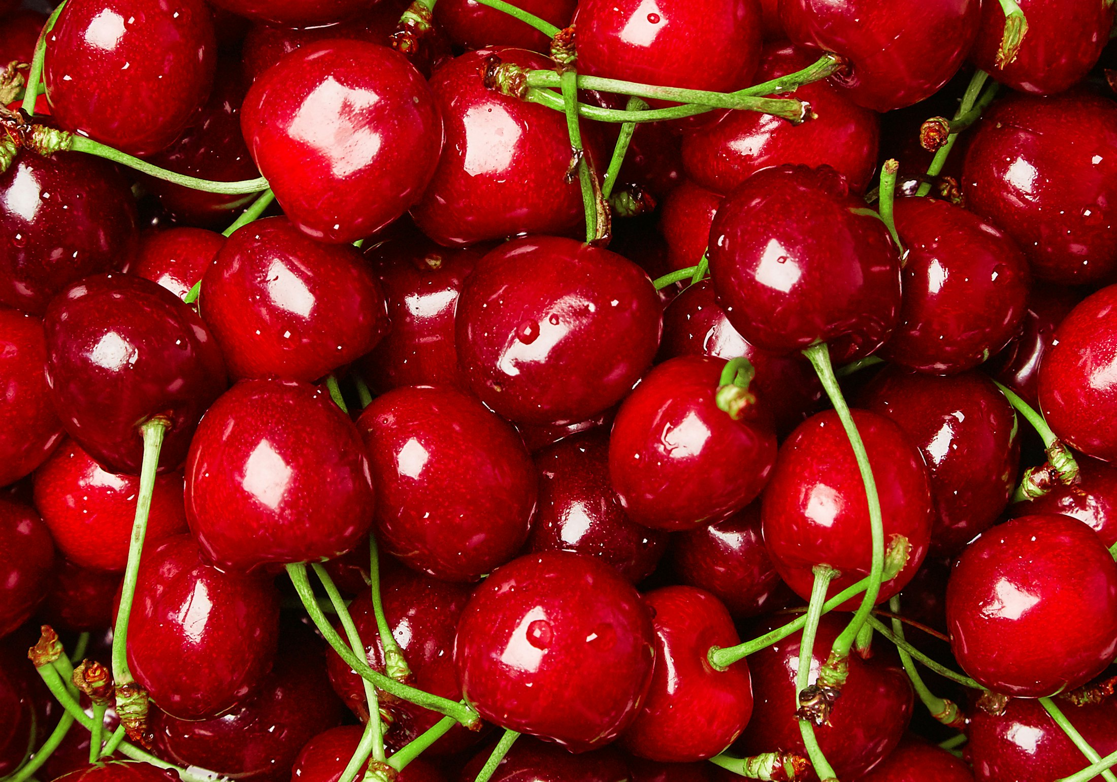 Close up of pile of ripe cherries with stalks and leaves Large collection of fresh red cherries Ripe cherries background