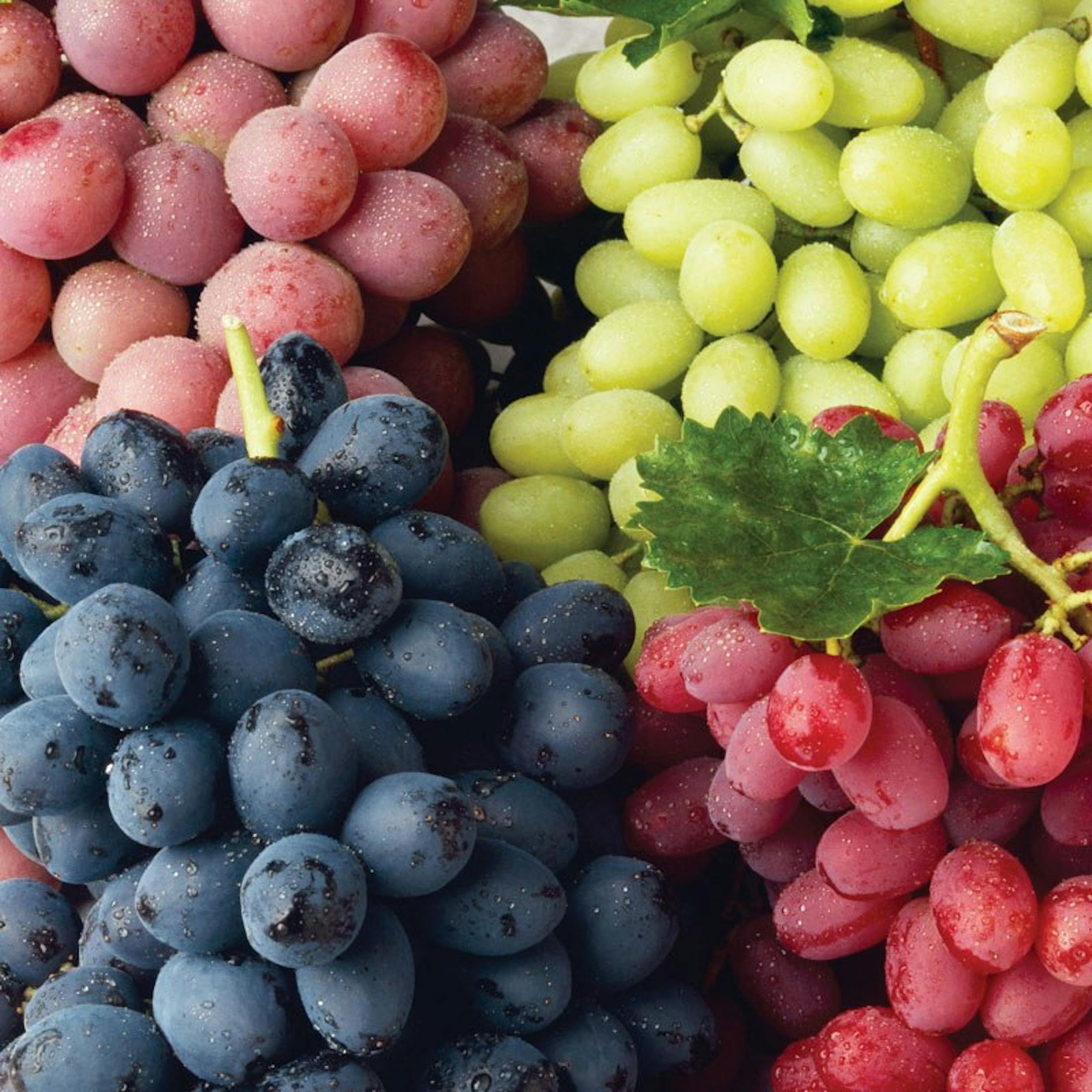 Bunches of different color grapes