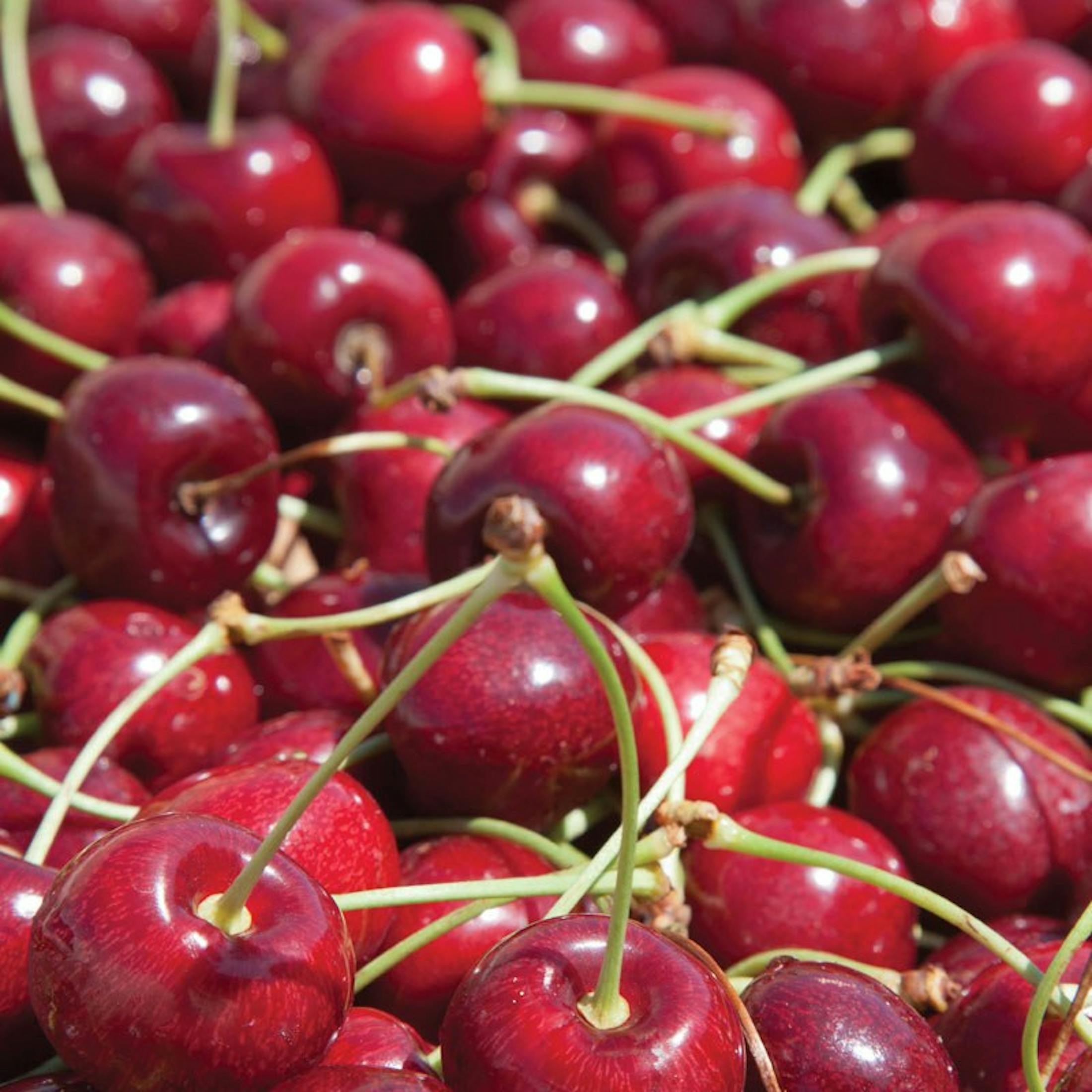 A bunch of cherries