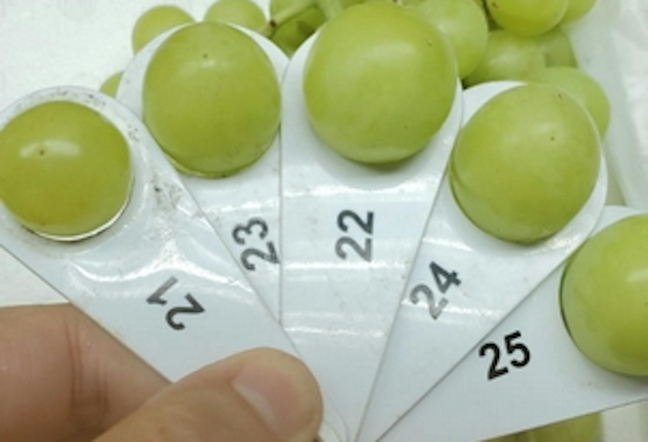 Air Chief Black Autumn Crisp 8